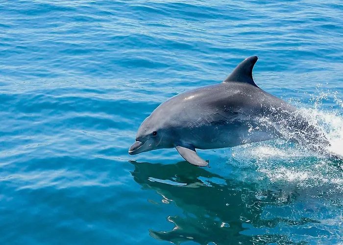 Luxury Penthouse Private Jacuzzi, * Αλμπουφέιρα
