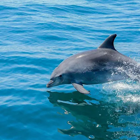 Luxury Penthouse Private Jacuzzi, * Albufeira